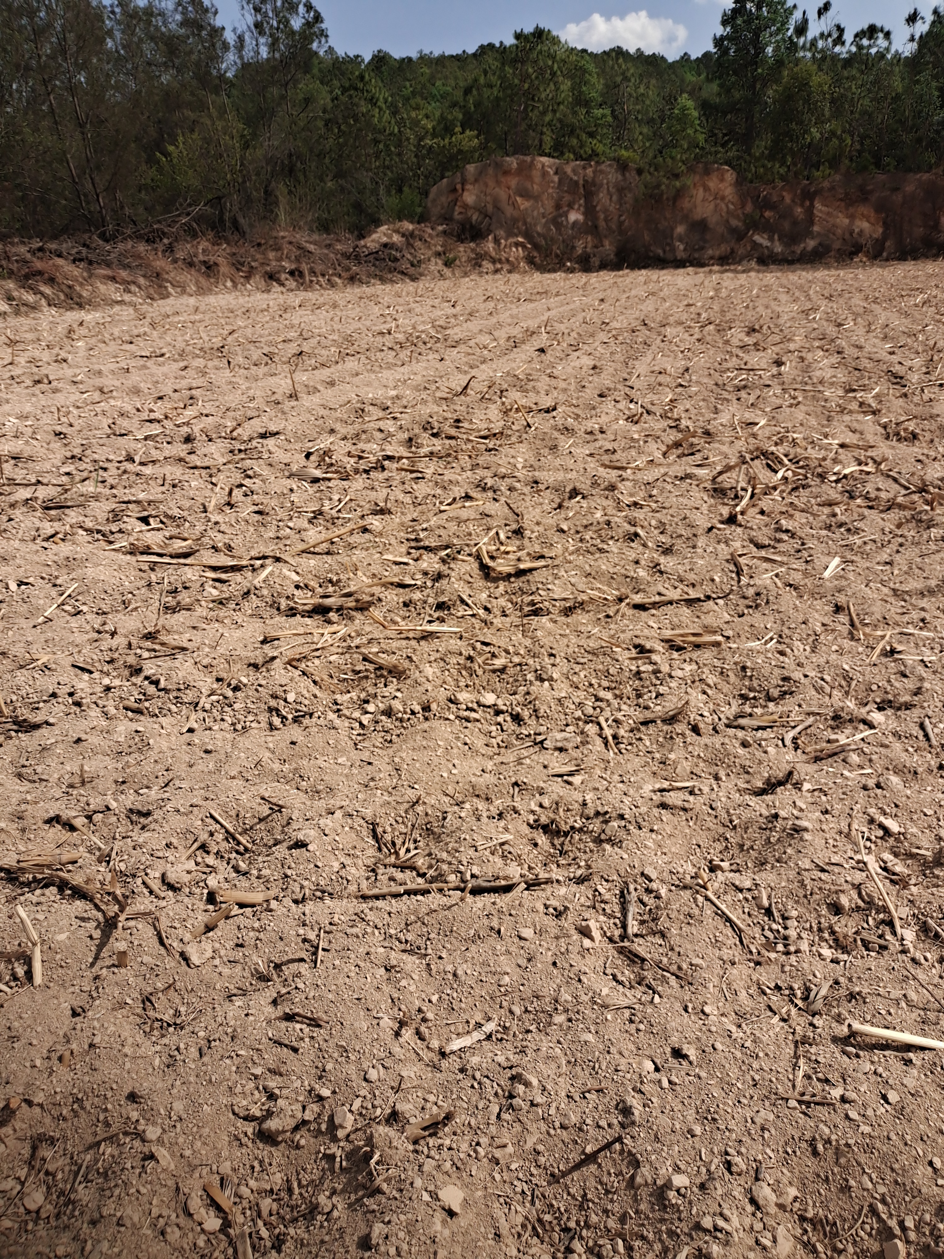 云南的干旱现在越来越严重,有人说7个月没下雨了