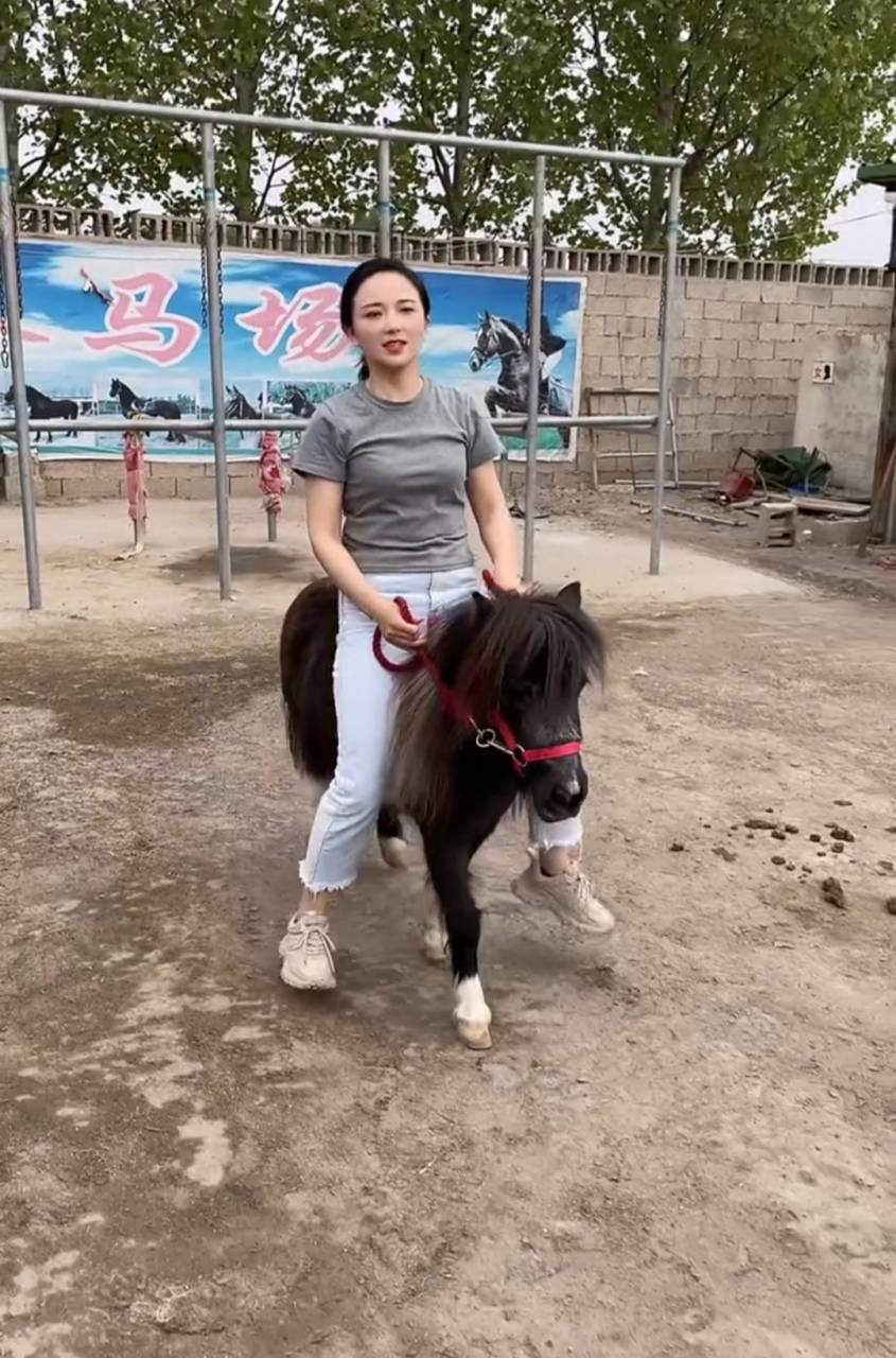 马好小,真怕美女再把它压坏了,人家说这种马就长这么大,这是一种矮马