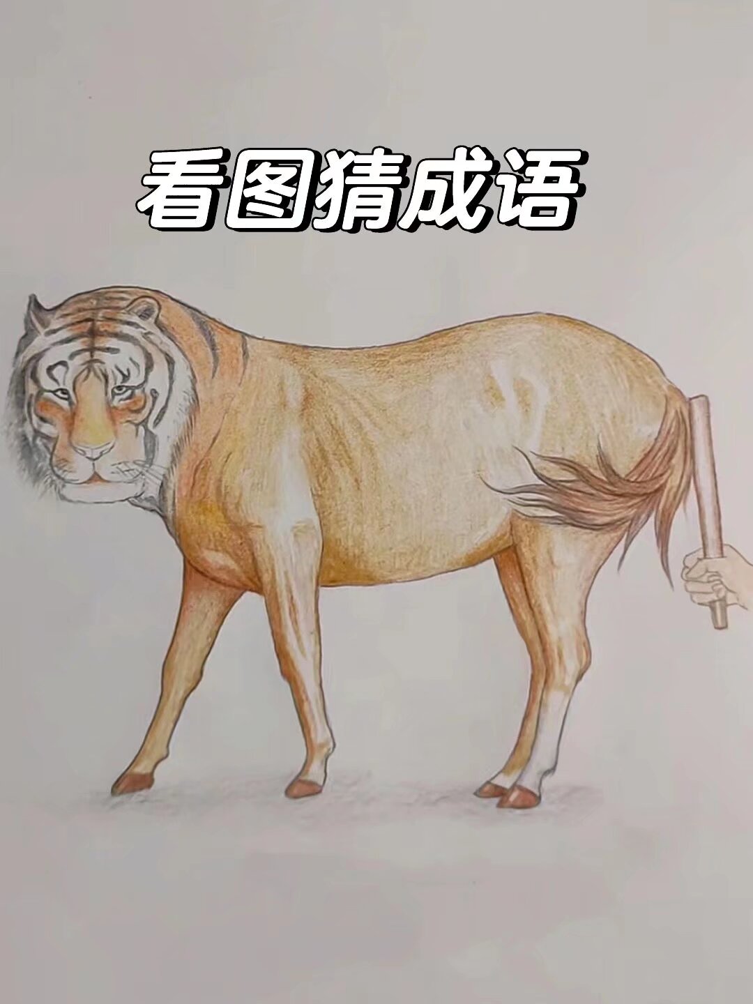 猜动物题目图片