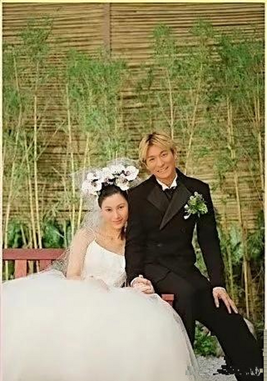 刘德华与李嘉欣的婚纱写真