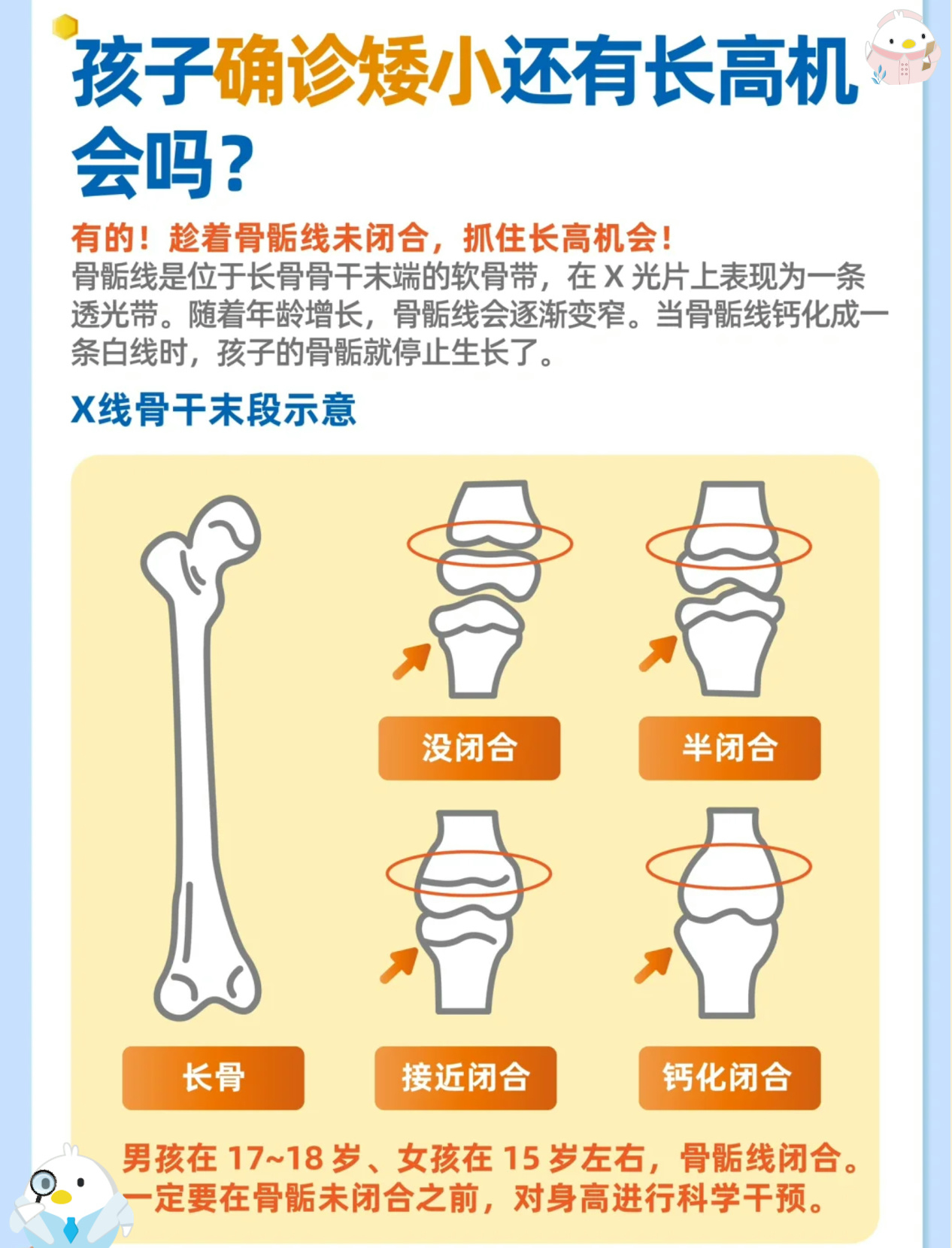 腓骨骨骺线图片