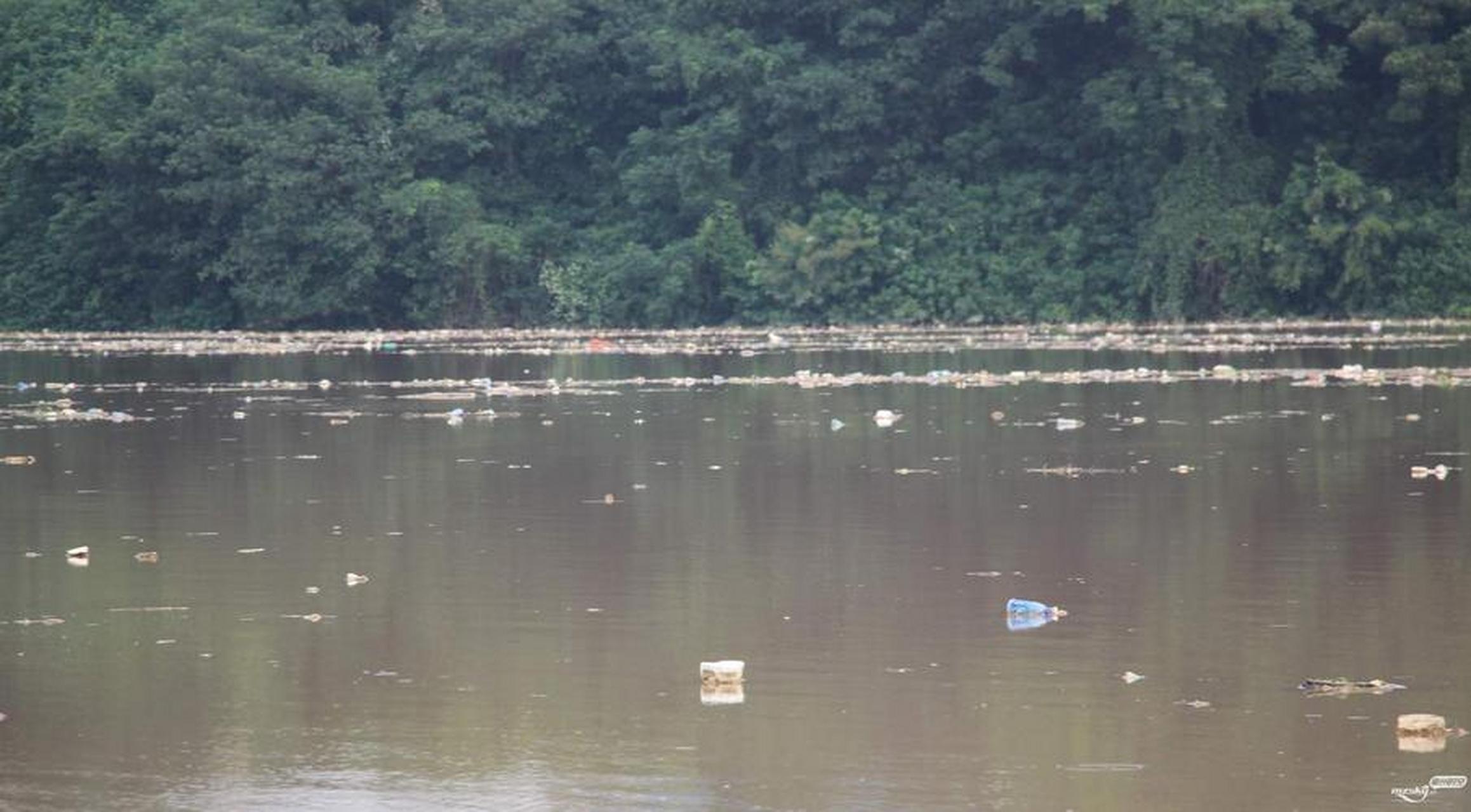 水面漂浮垃圾严重影响水体质量和生态,种类繁多,包括生活垃圾,植被