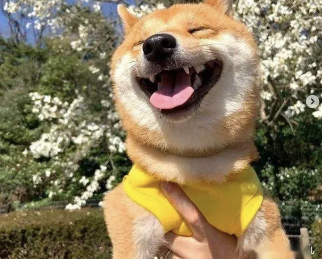 期中考试出分了,又可以听我的长舌儿子给我八卦了