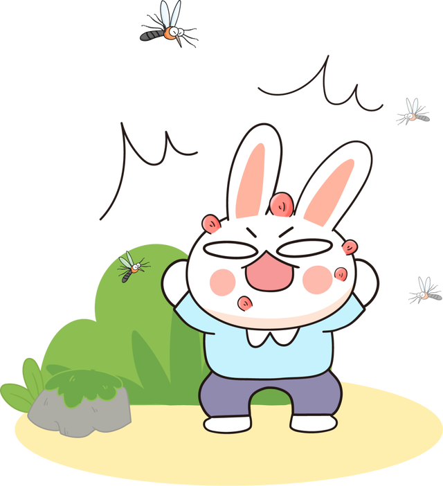 原来蚊子"最大天敌"并不是蚊香?教你个"土"招彻夜开窗也不怕