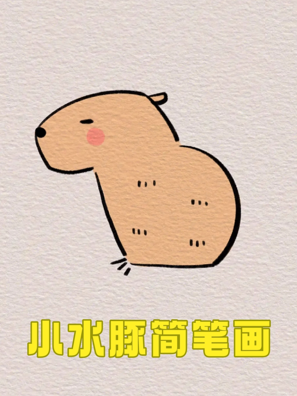 小水豚简笔画 ✅宝子们右滑来看看怎么画这个可爱的小水豚吧🙉