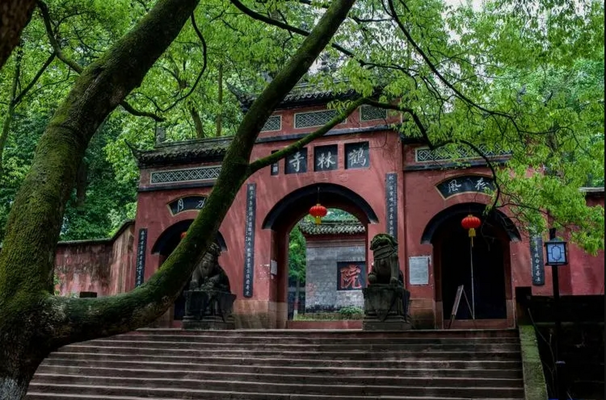 白鹤山位于邛崃市区西郊.