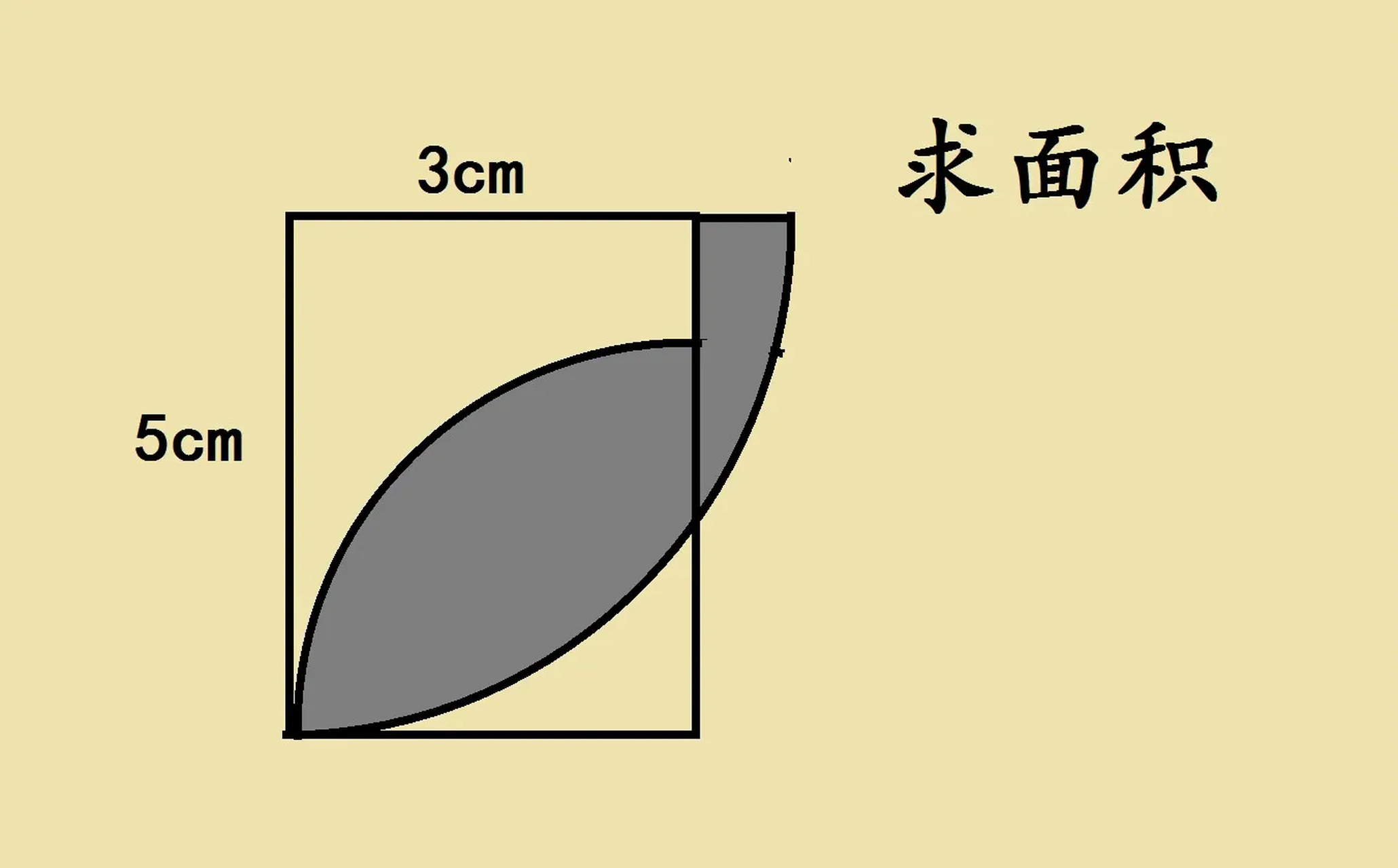 长和宽的图片图片