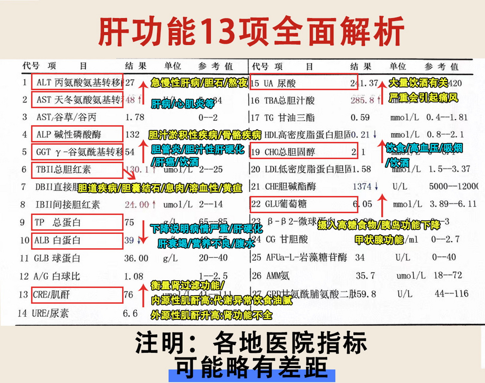 肝功能分级标准最新图片