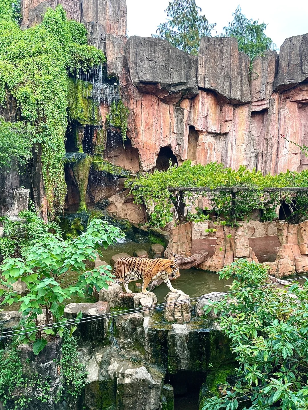 绝美风景不输任何网红地 佛山,这座历史文化名城,藏着无数令人心动的