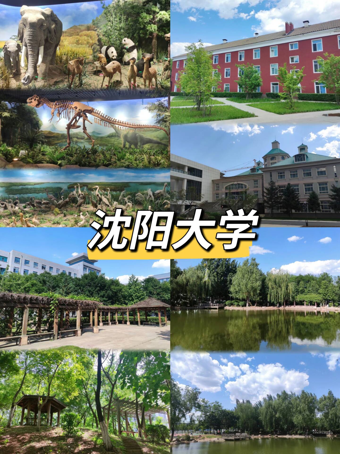 看看你的大学排名沈阳大学排名  这里排名的依据不同,所对应的名次不