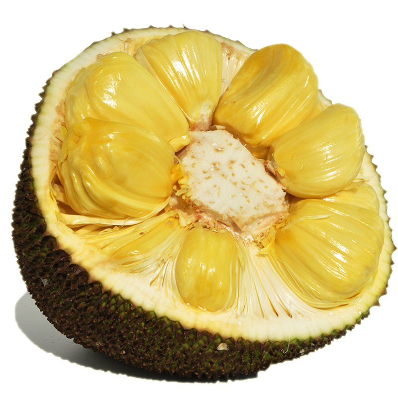 菠萝蜜是什么季节的水果