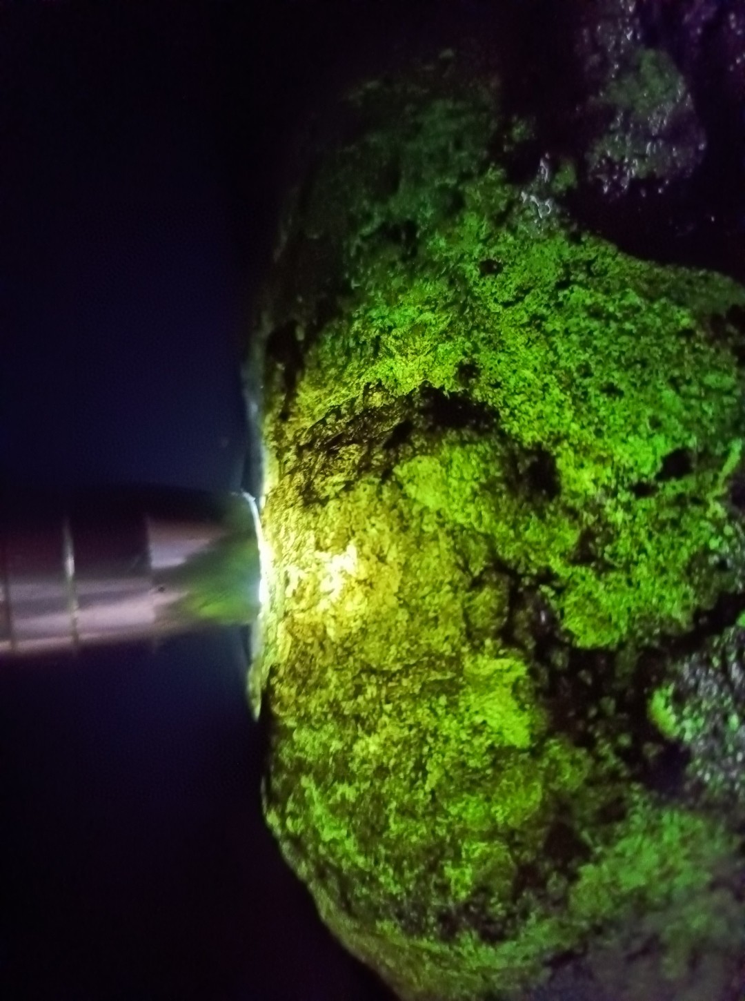 精品高冰玻璃种帝王绿翡翠原石