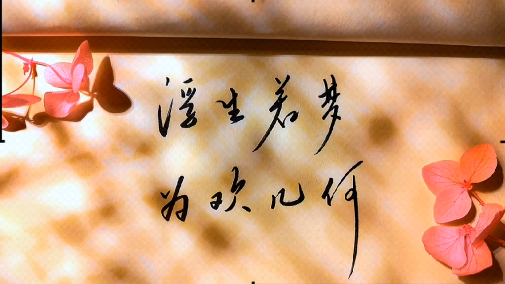 浮生若梦,为欢几何?好好活着,敬我们这必死无疑的一生!