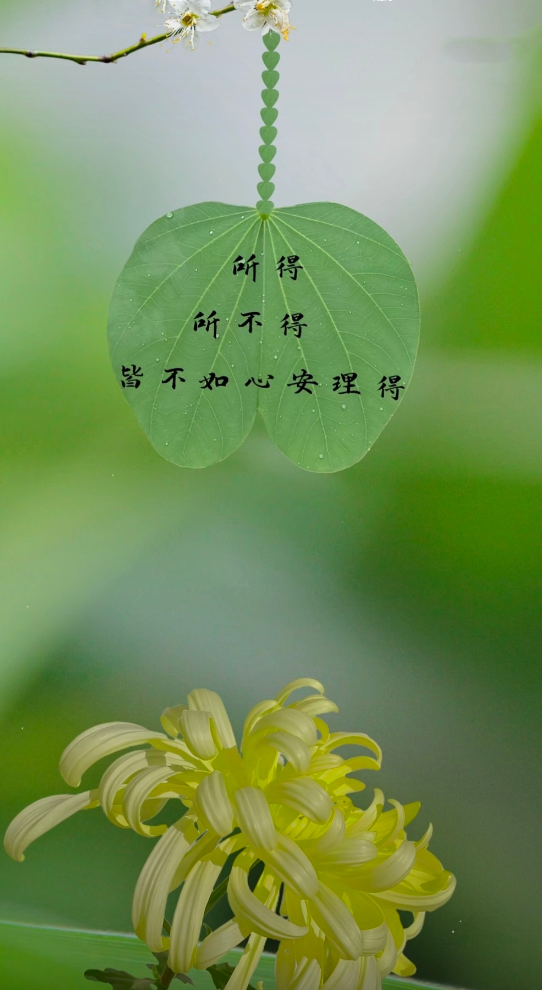 生活一半烟火,一半清欢,人生一半清醒,一半释然