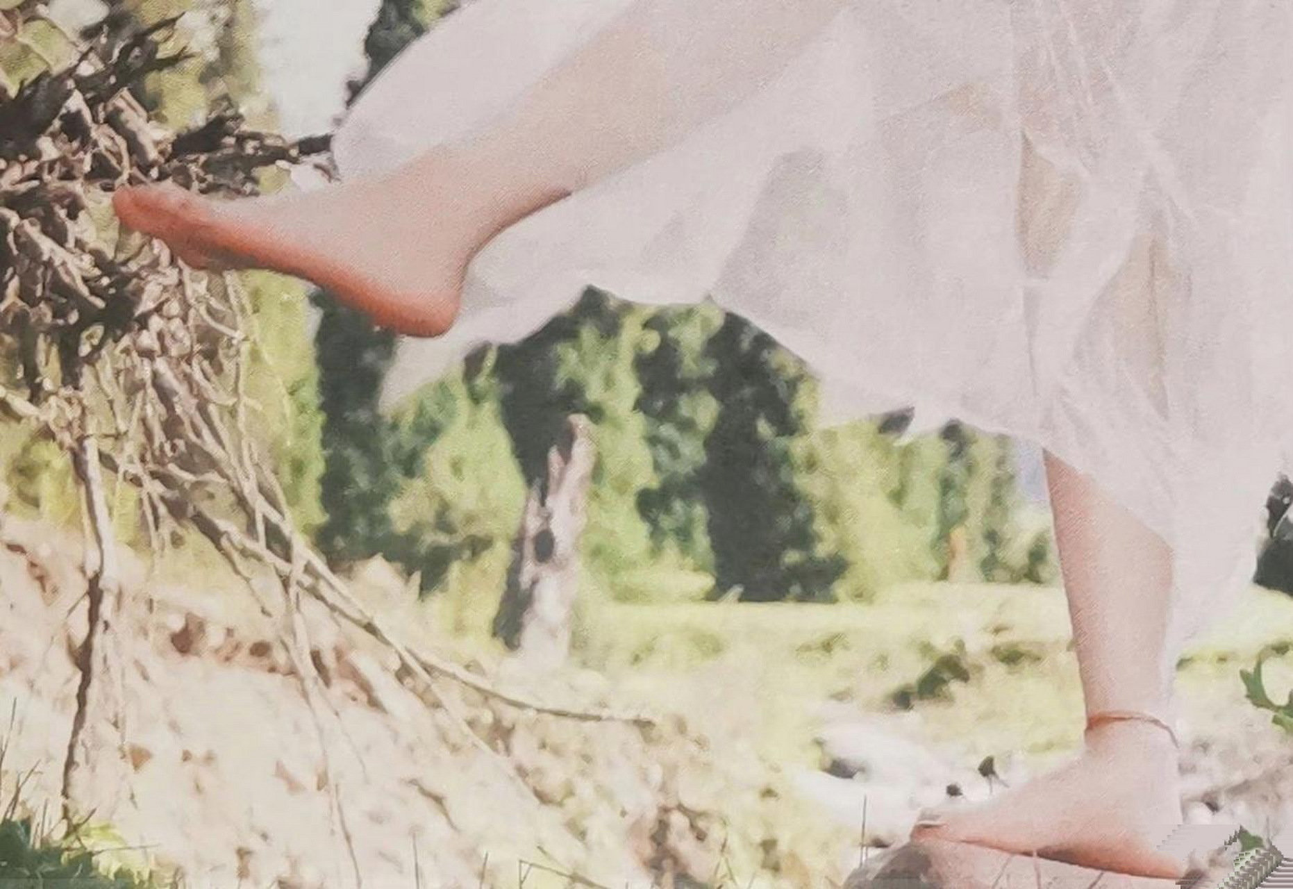 鞠婧祎白嫩的美脚丫