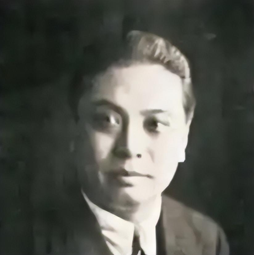杨宇霆被杀,是咎由自取还是另有隐情?杨家后人:张学良中了奸计