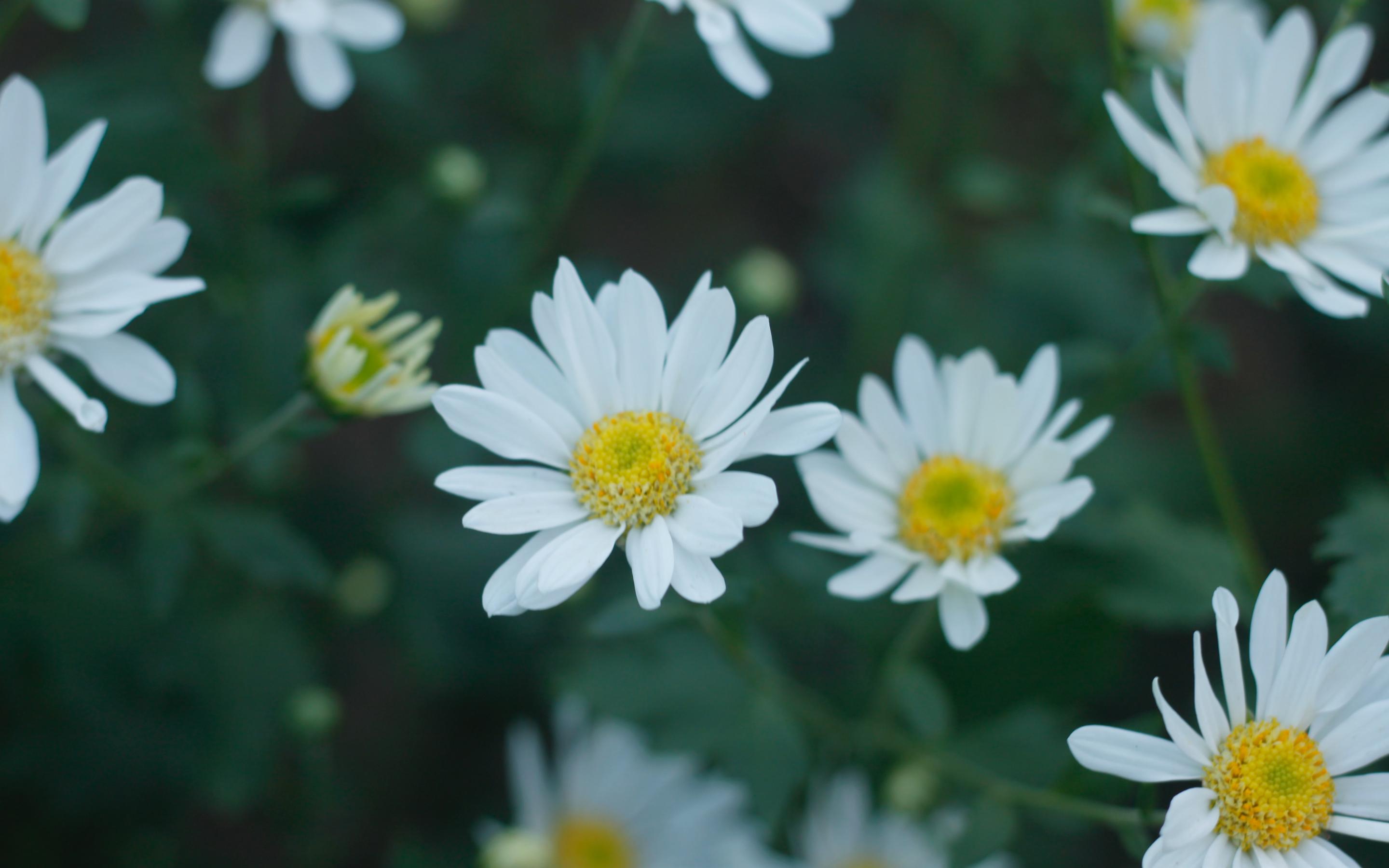 人过五十,出现这三个征兆,说明是好命的开始