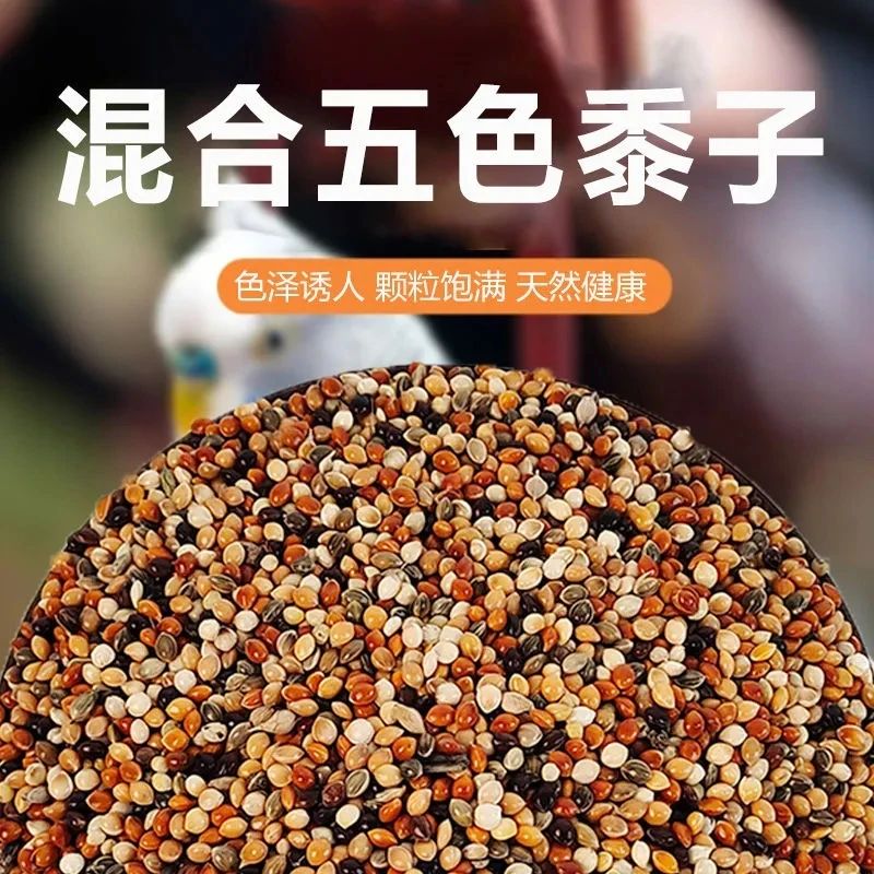 邂逅自然好滋味!五色黍子鸟粮,让爱鸟乐享美食时光