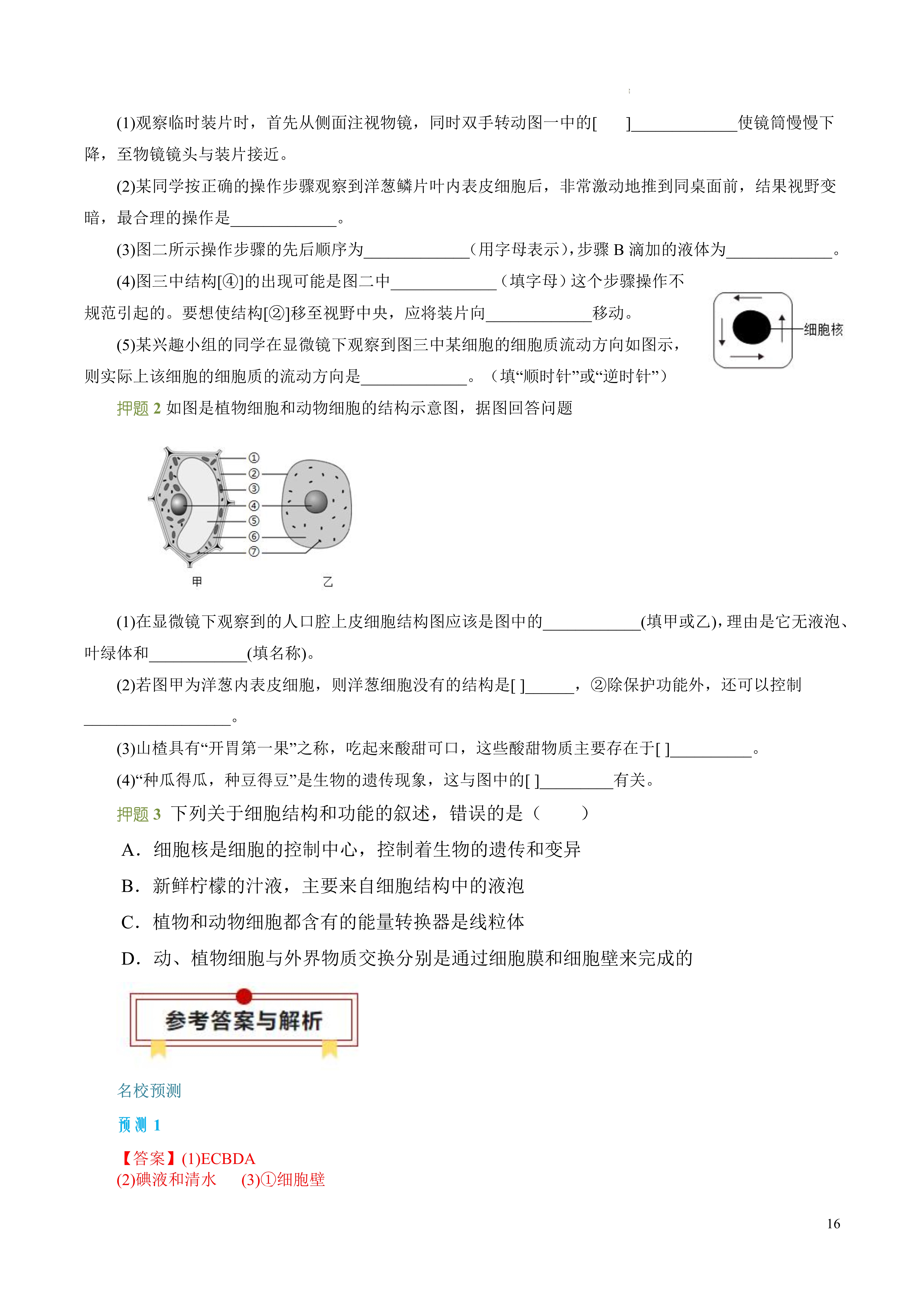 生态系统生产者图片