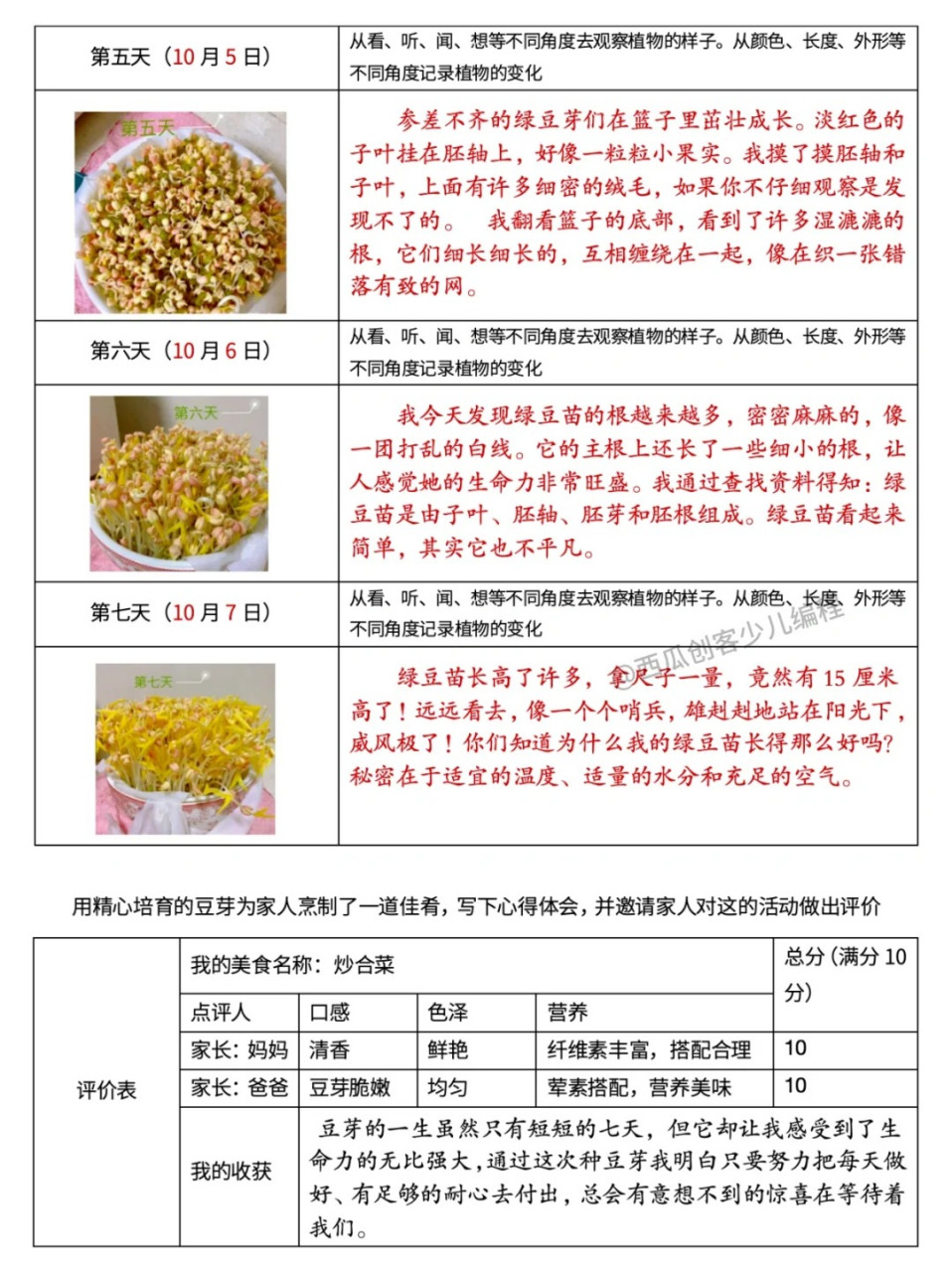 绿豆芽的生长过程日记,四年级拿走  最近好多地区的娃都在准备绿豆芽