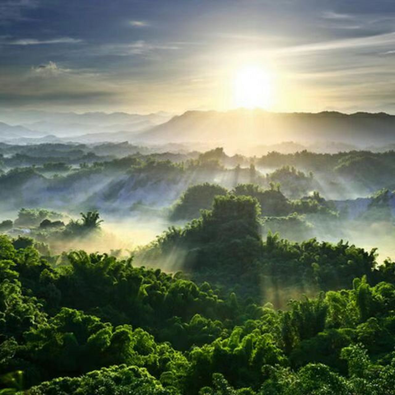 大自然的绿水青山是大家的金山银山.