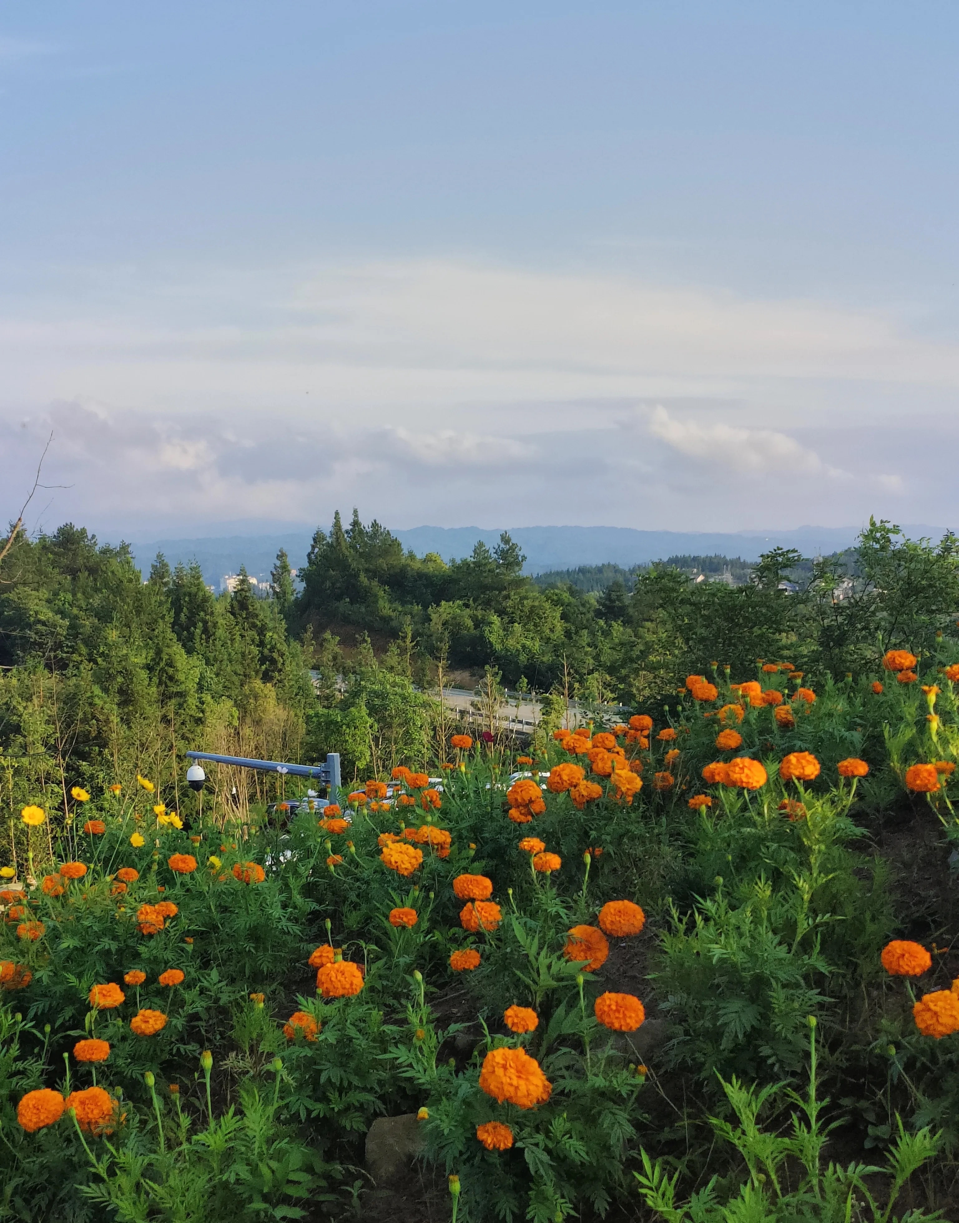 离婚后的女人,一般会经历以下几个阶段,第一阶段,刚开始,女人觉得离婚