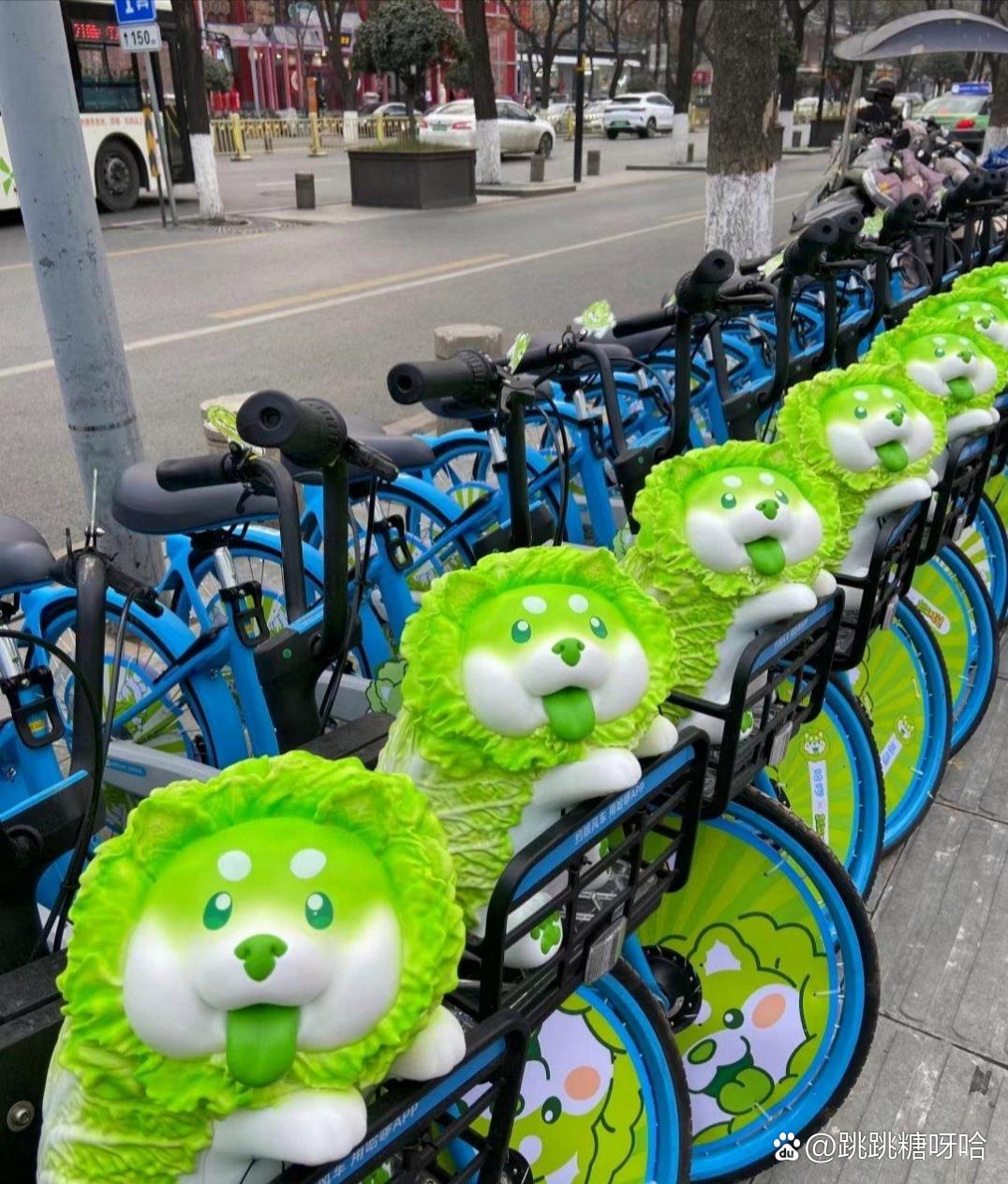 外地的共享单车做的真可爱