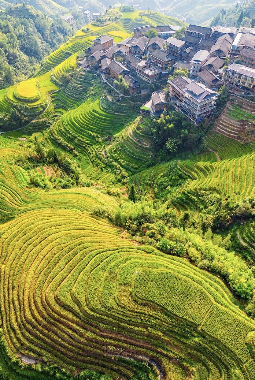 打卡广西桂林龙胜龙脊梯田 那层层叠叠的水稻梯田,犹如波涛汹涌的海洋