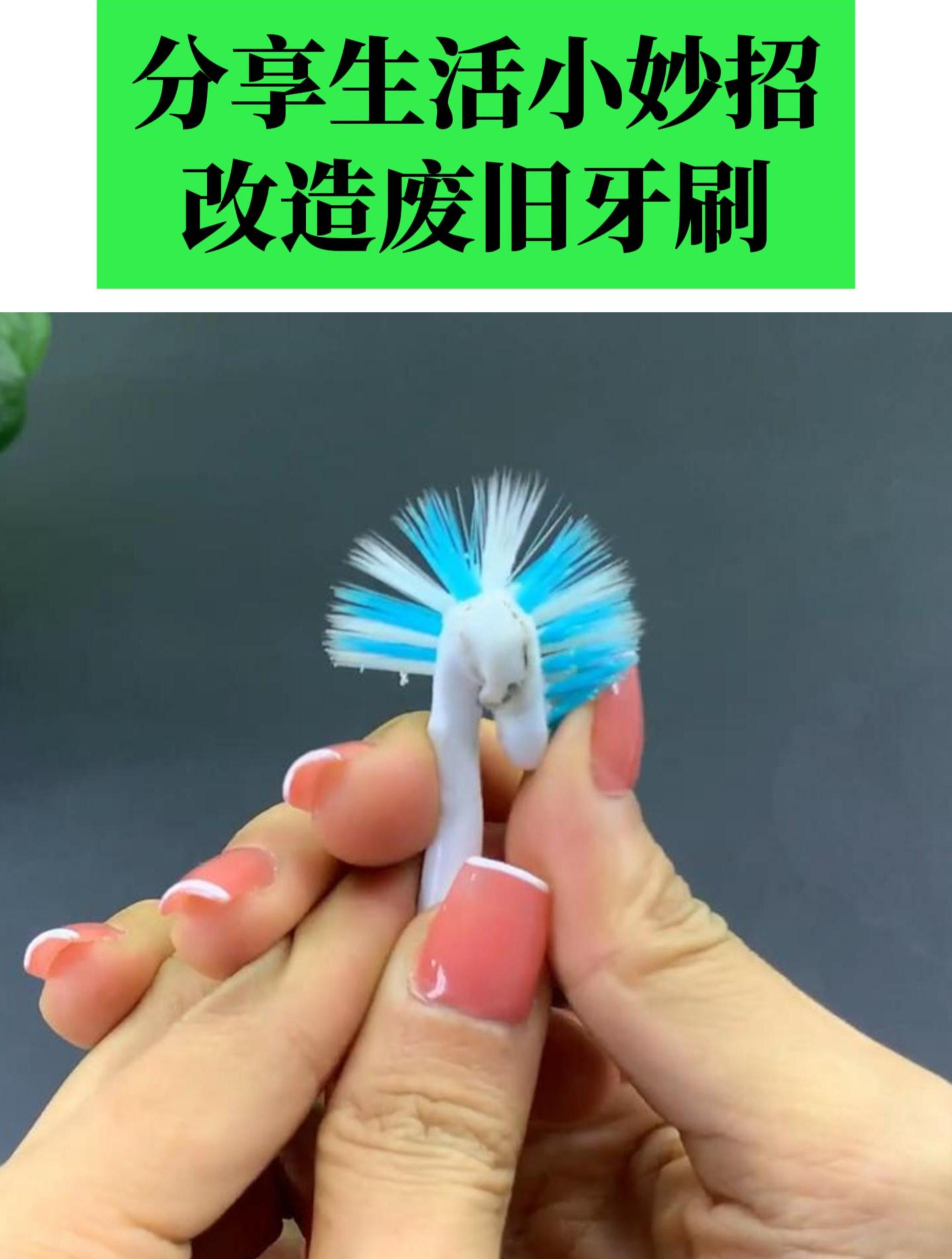 废物利用!牙刷改造成刷瓶子神器!