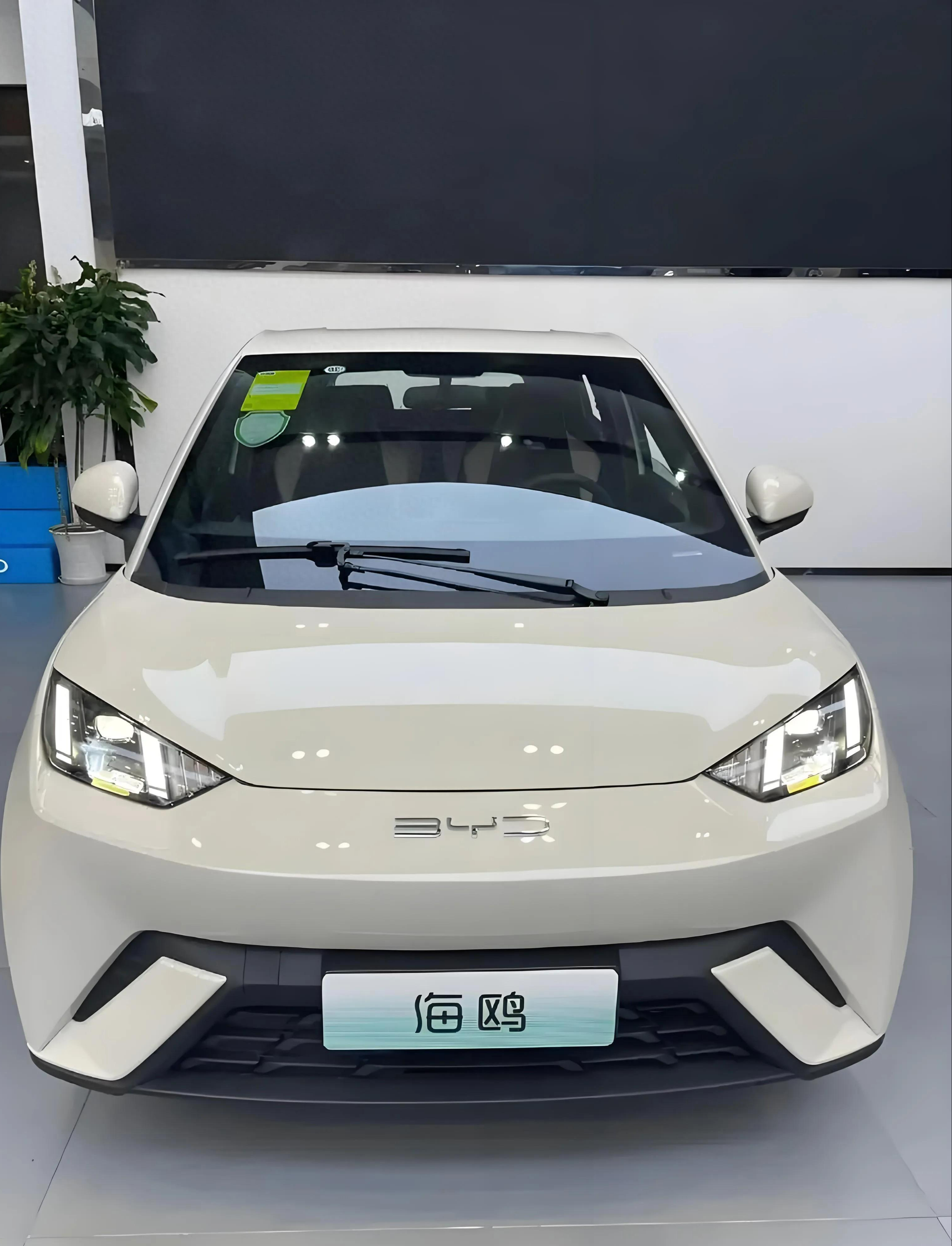 比亚迪展现责任,召回16666辆海鸥电动车