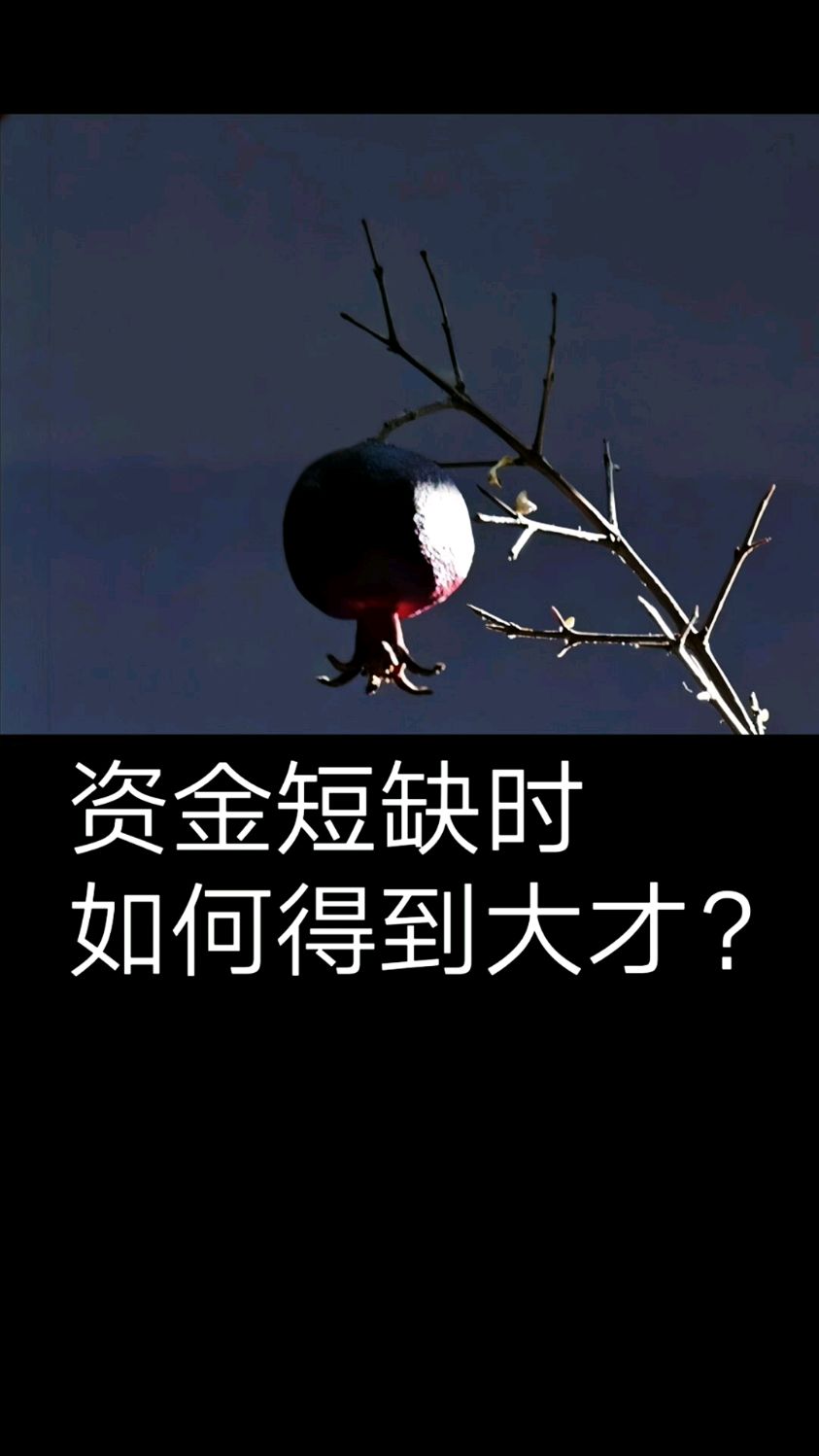 资金短缺时,如何得到大才?#企业#资金#人才@企业家 @管理术@人才