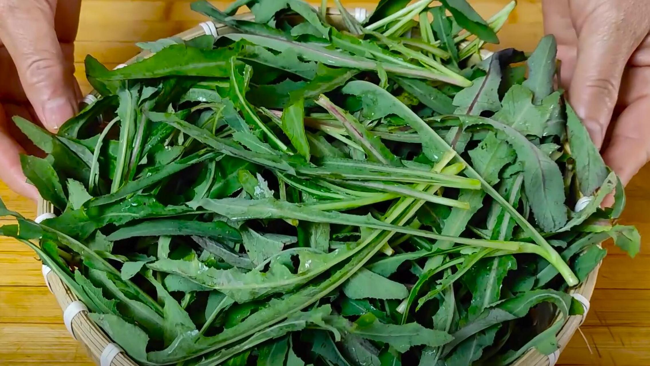 来试试下火神器苦苣菜!清热消暑防便秘.