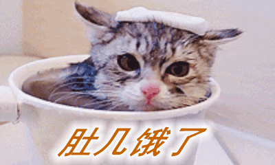 盘点养猫"好处",难怪越来越多人养!