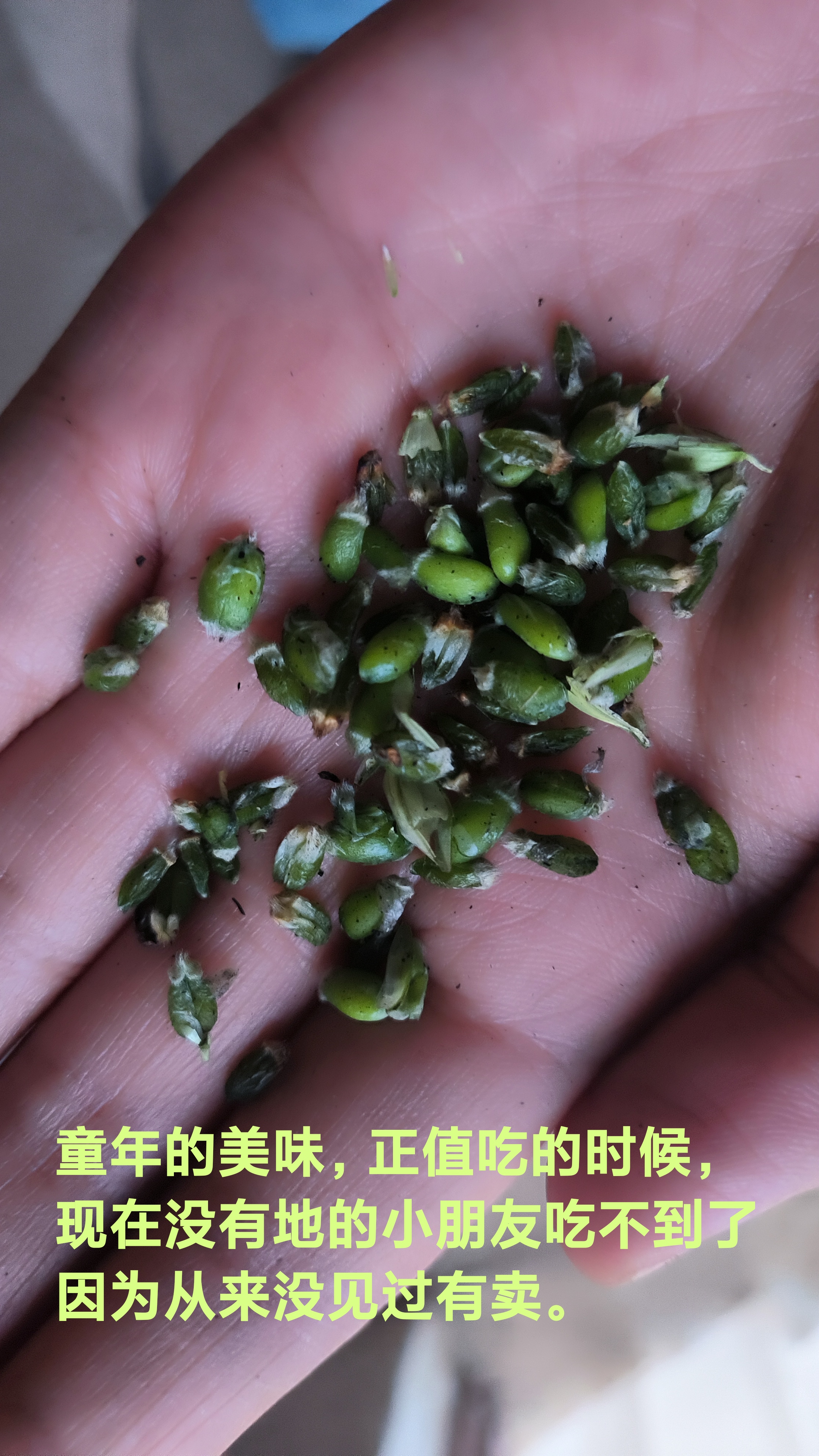 还有多少人想这一口?#动态连更挑战