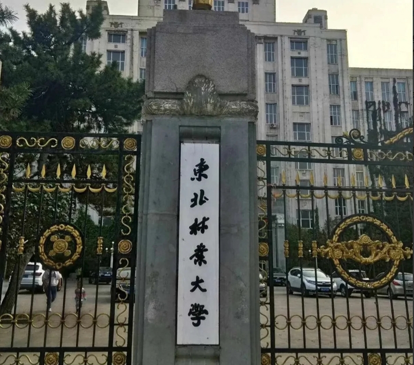 东北林业大学大门图片