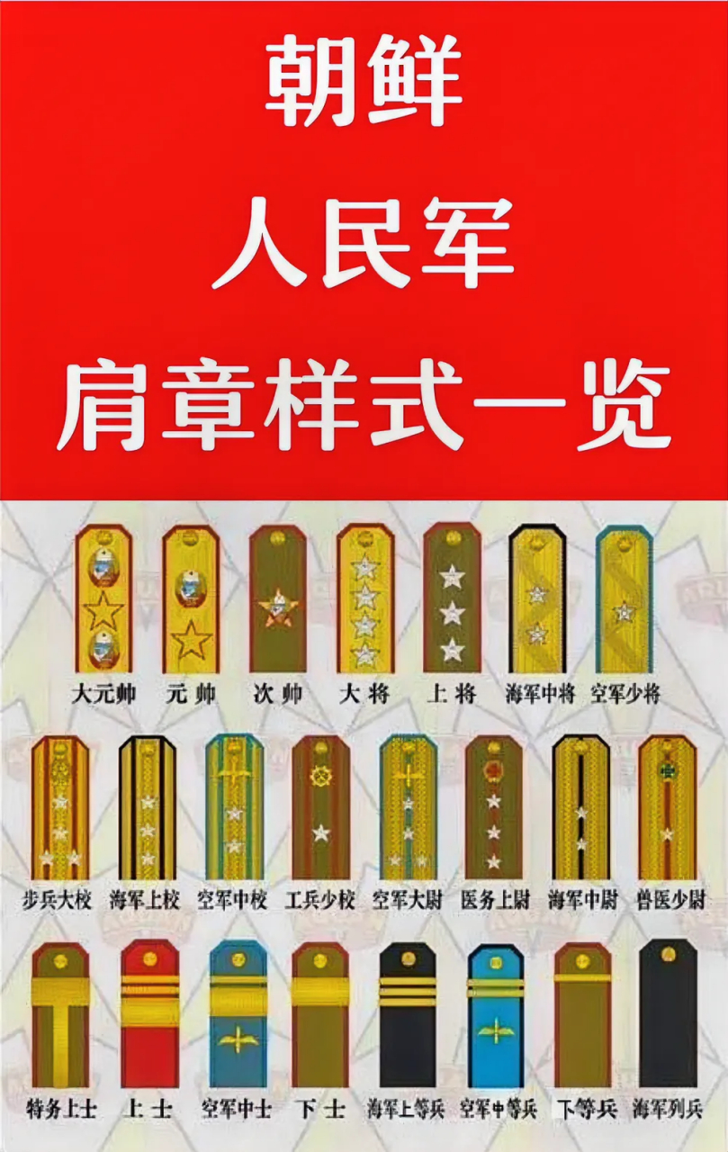 如图所示,朝鲜人民军的肩章一览表.