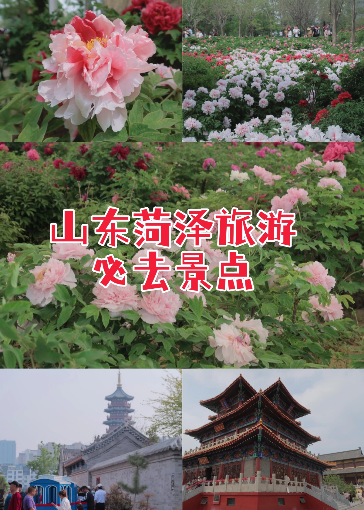 山东菏泽旅游必去景点  还记得之前很火的一句话吗"菏泽曹县牛x666"