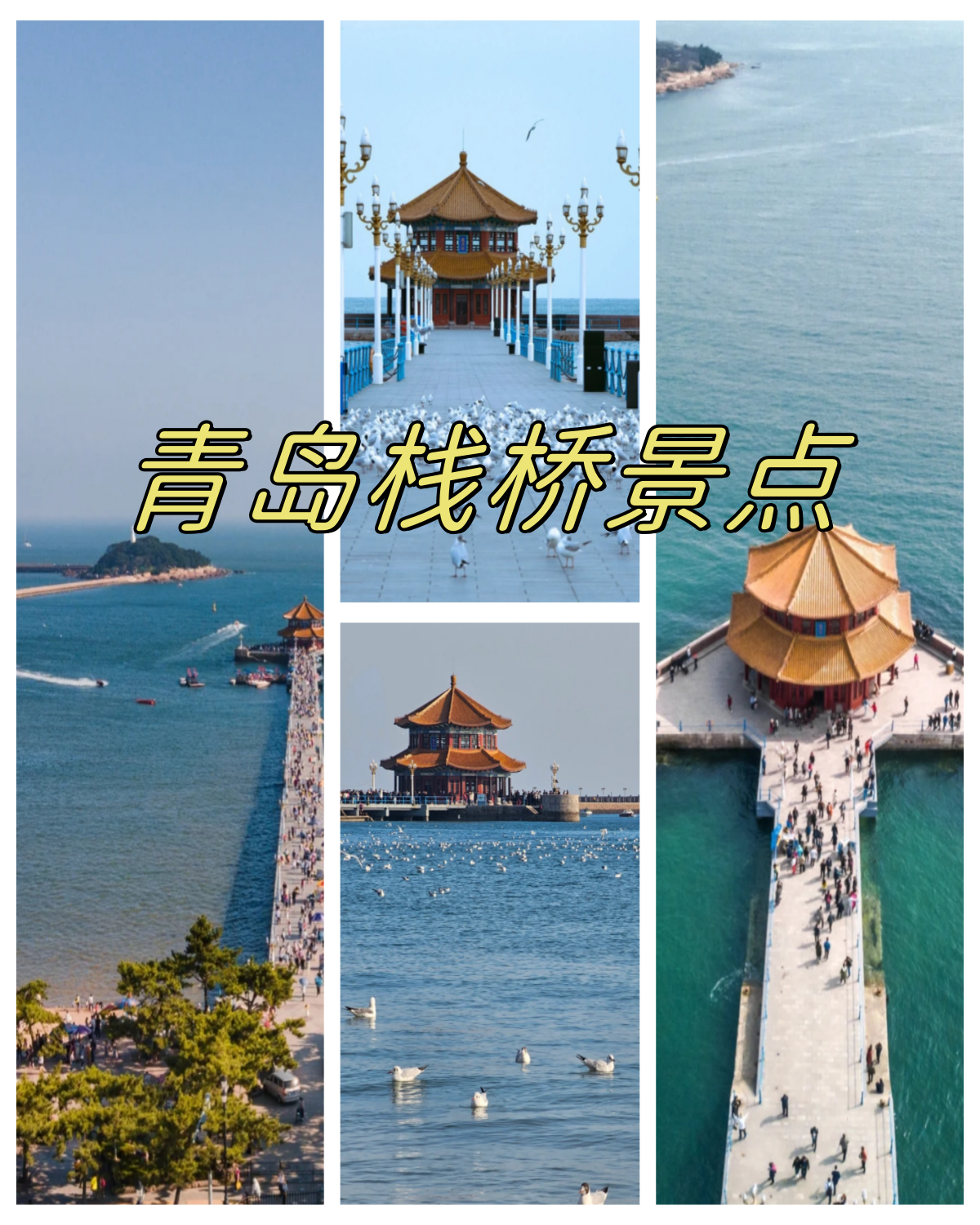 青岛栈桥景点  第一次来青岛,打卡青岛栈桥,喂一次海鸥,邂逅海边的