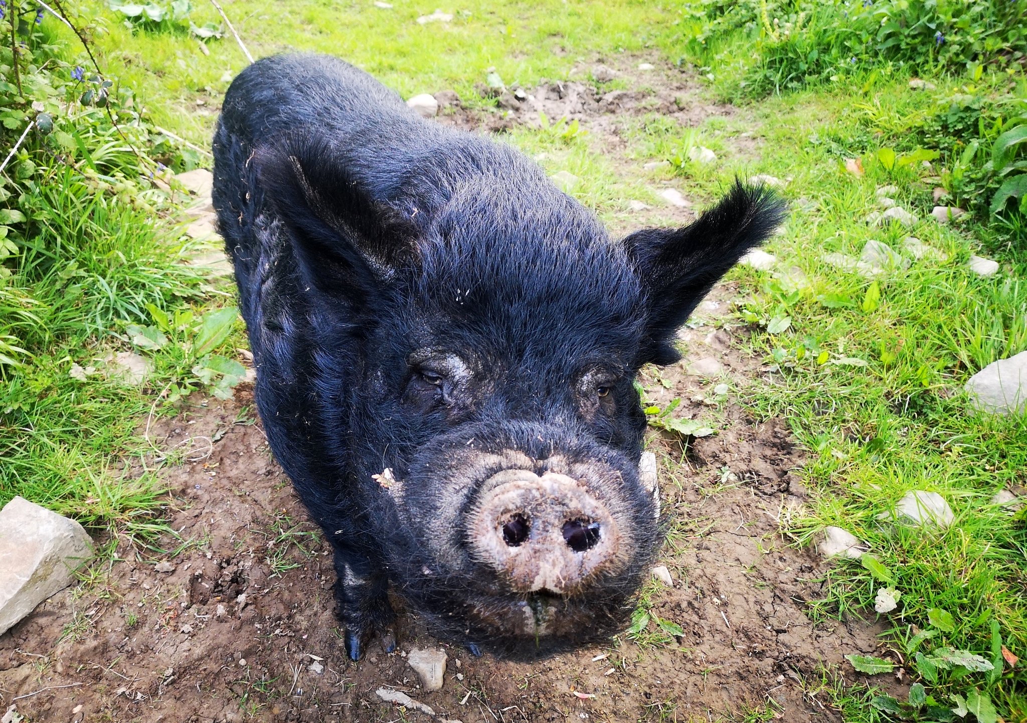 大约6000年前,人类进入了一个被称为新石器时代的