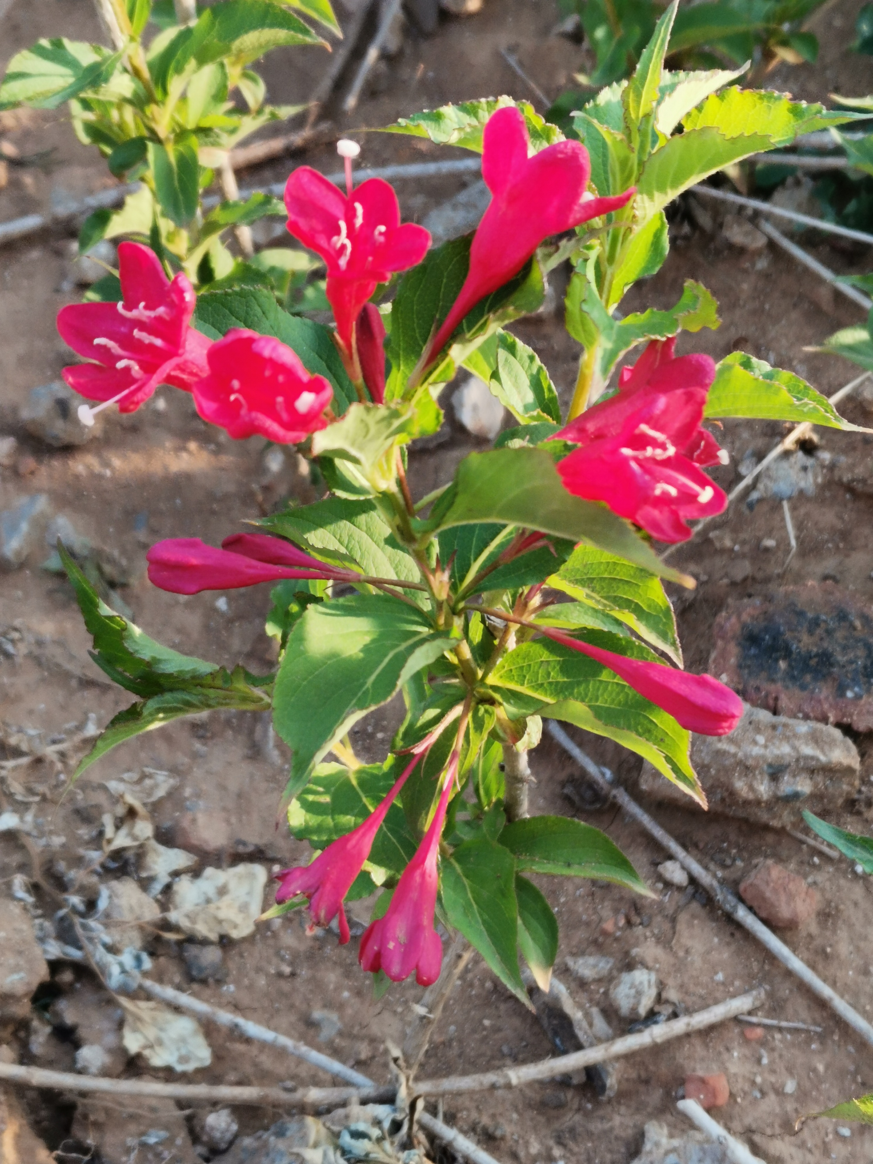 人生路上,遇到了许多人,有嫉妒心强的,有擅长诋毁