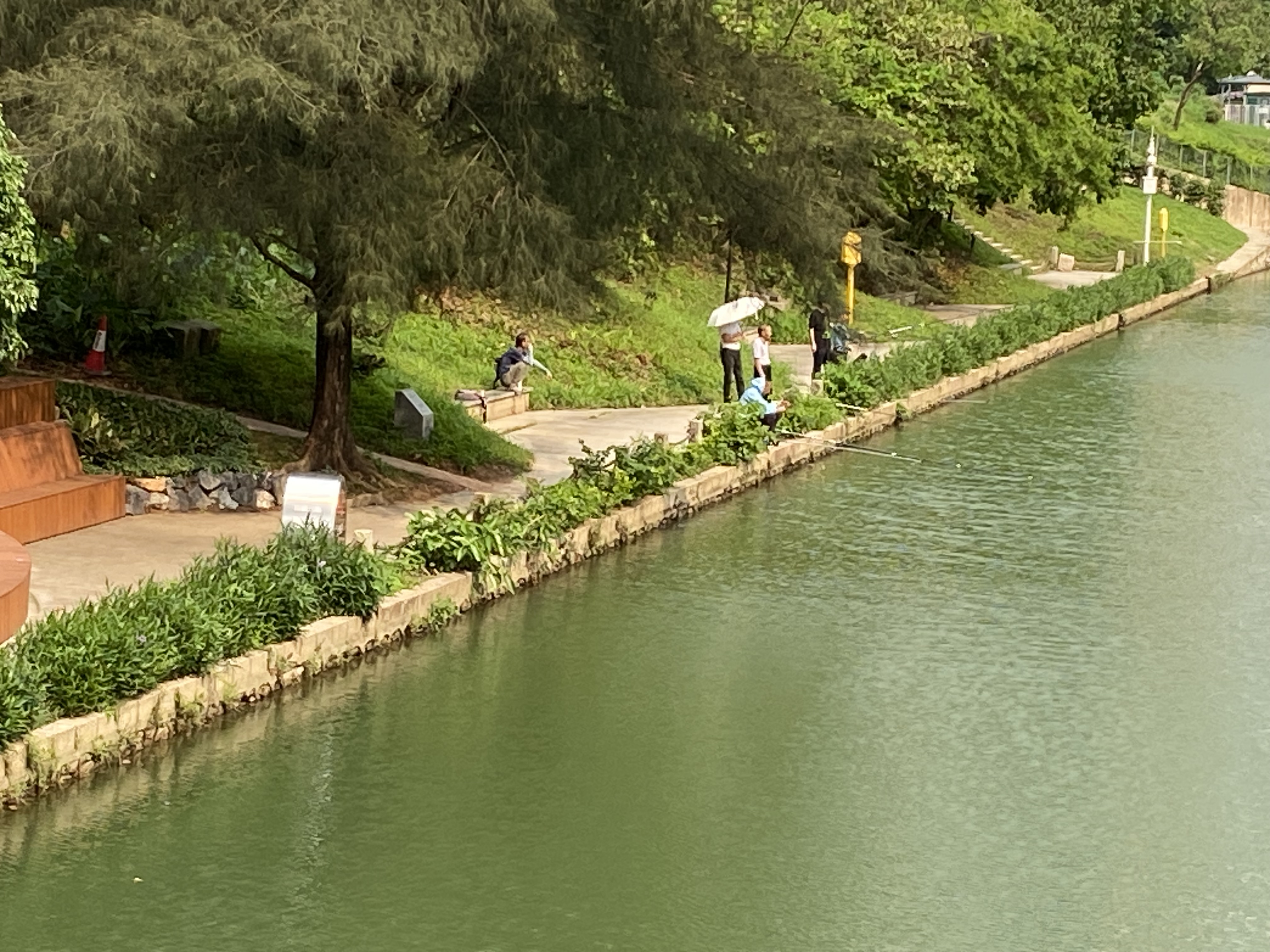 深圳福田河靠近笔架山砚湖的河岸边,午后常常有人垂钓,五一假期也不