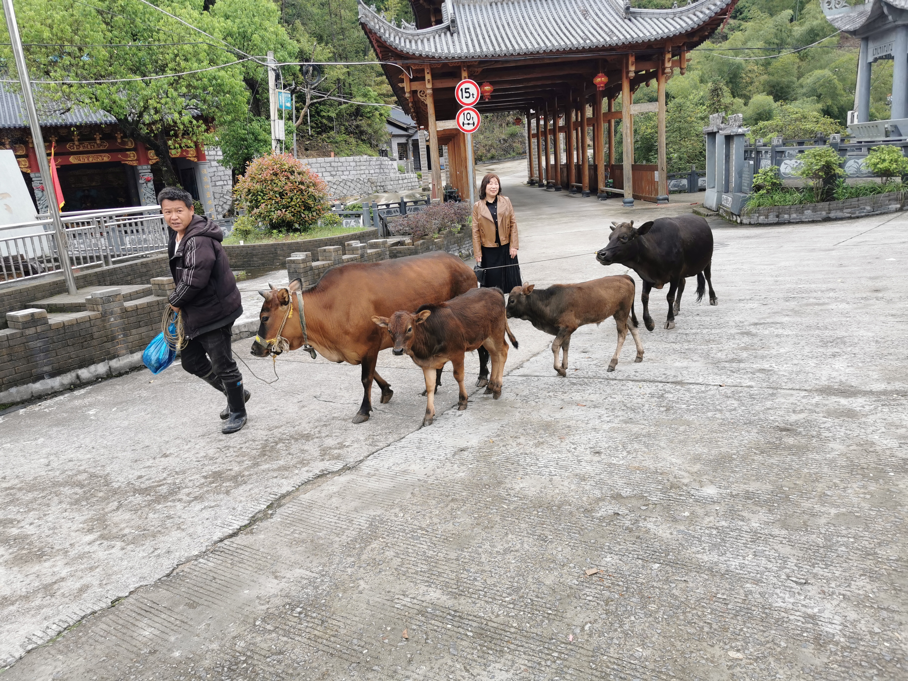 寻访天下第一廊桥之称的浙江泰顺三魁廊桥