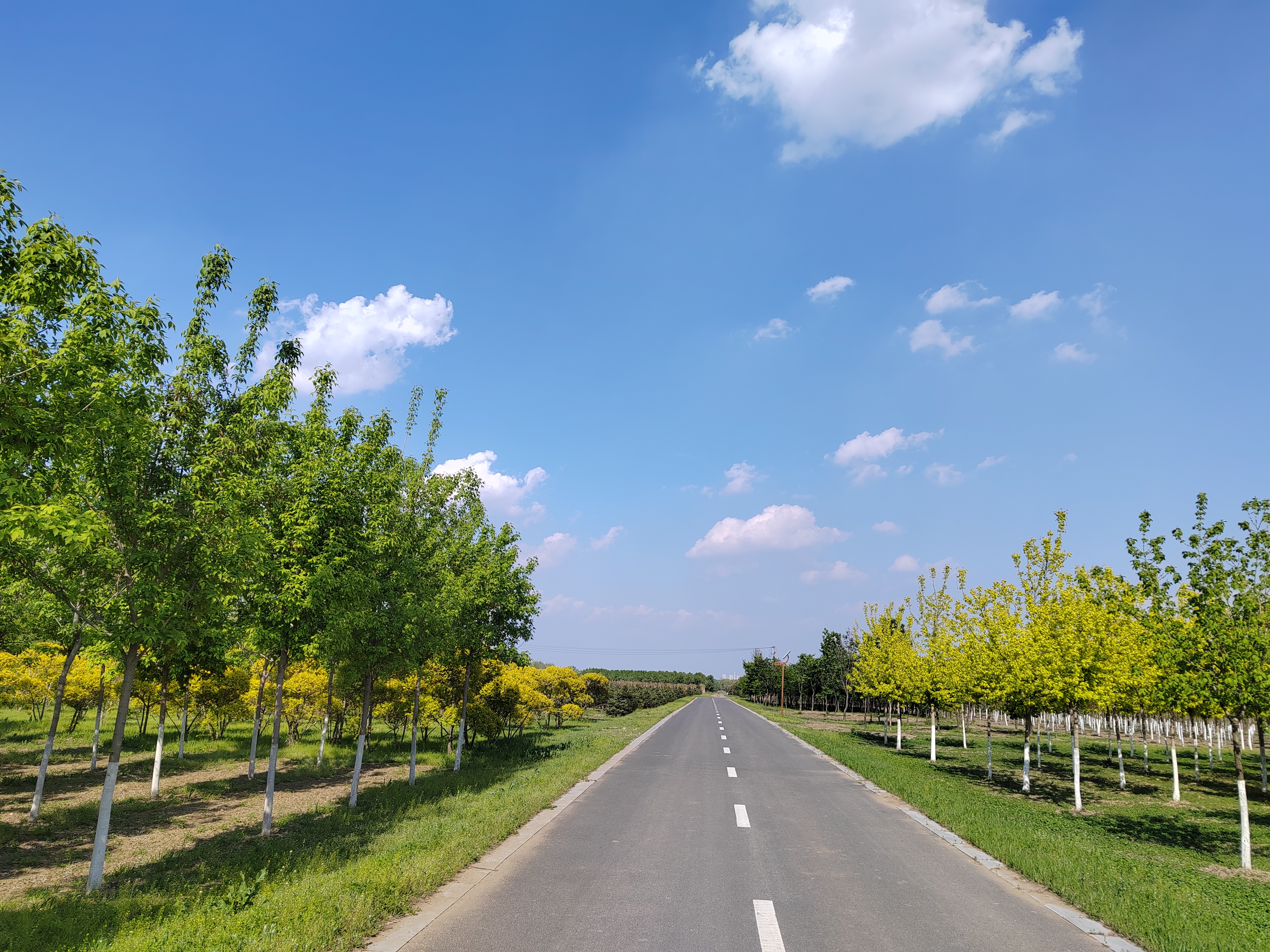 世上的道路千条万条,路路相通,没有尽头,而每一个人的人生之路无论是