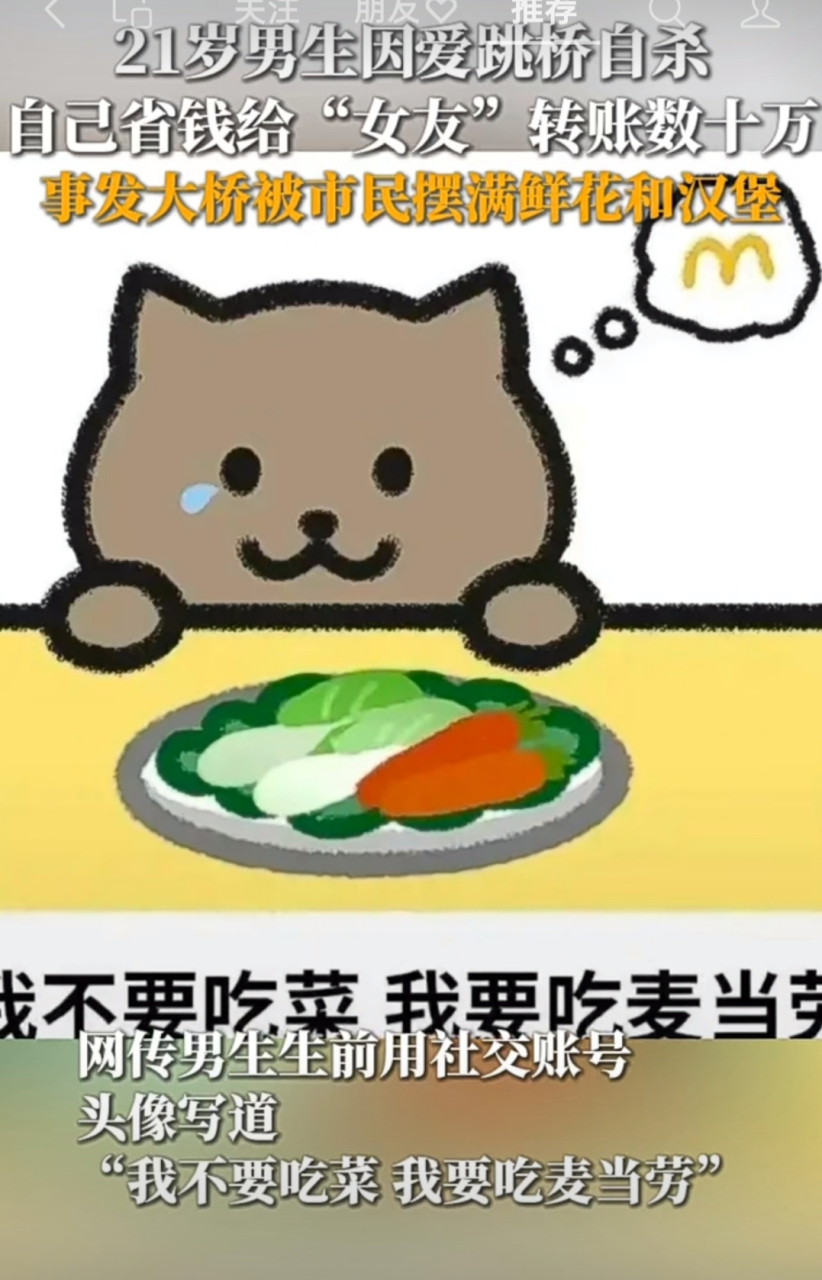 "我不要吃菜,我只想吃麦当劳