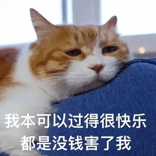 猫咪strong表情包图片