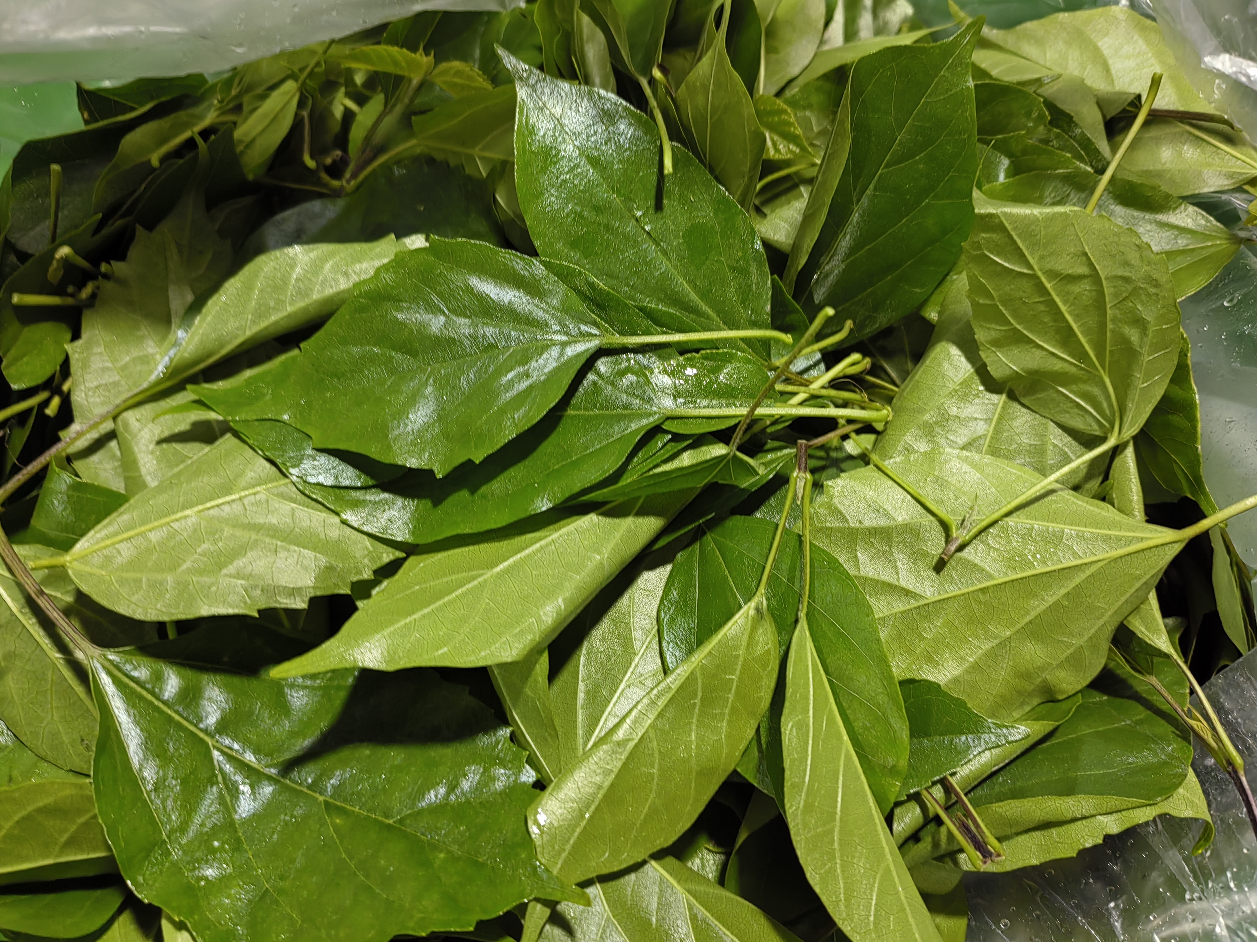 第一次做了斑鸠叶豆腐,非常成功,非常好吃,三四月的山里,简直就是美食