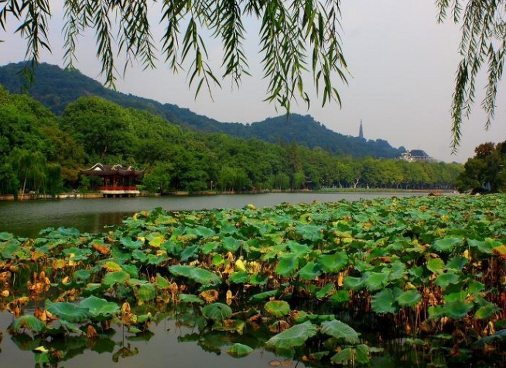 余杭区免费景点图片