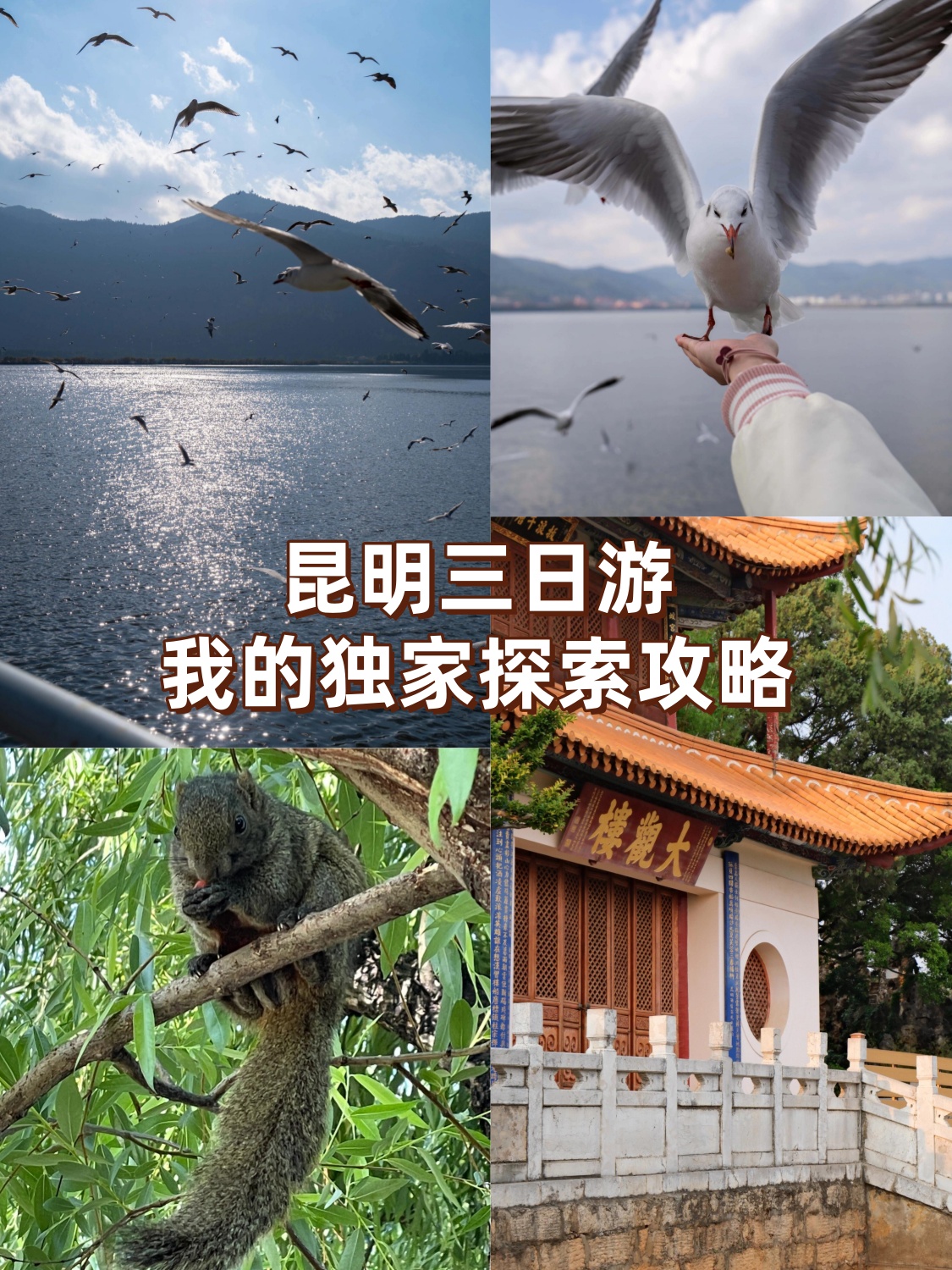 昆明海埂公园门票图片