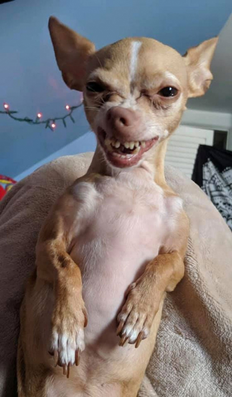 你怎么看?#动物