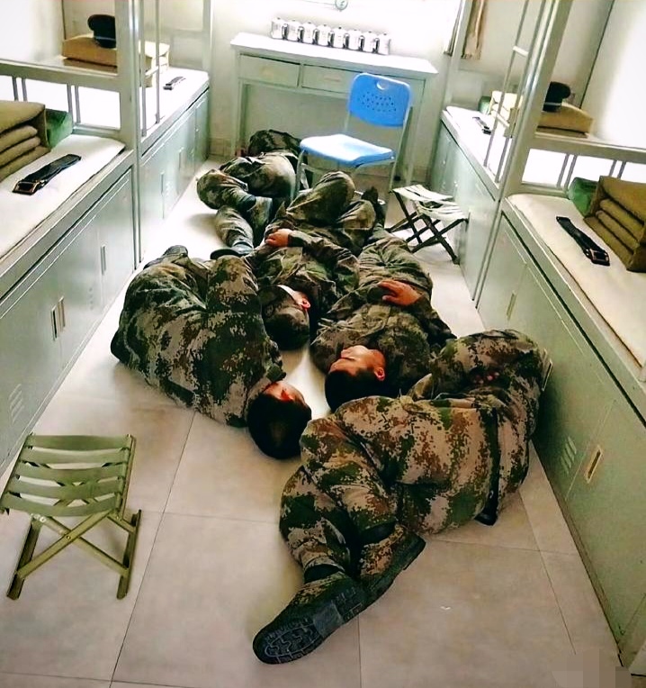 图片部队新兵蛋子嬉笑打闹的图片或视频新兵宿舍军队兵哥哥军被的照片